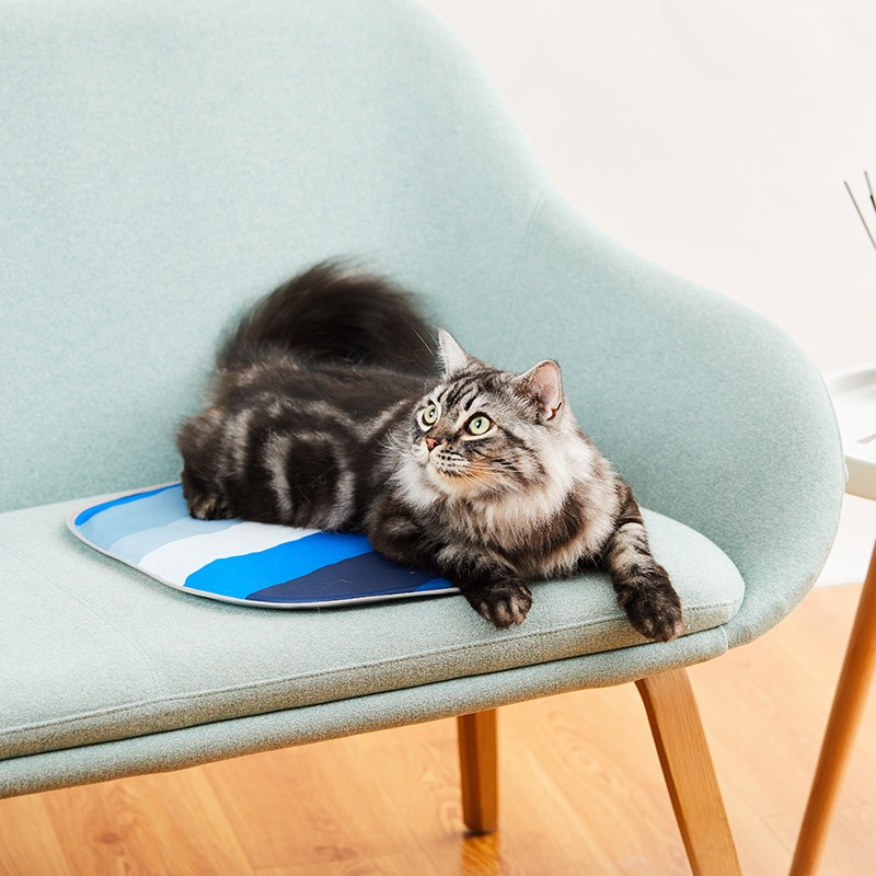 Poze Covoras racoritor pentru pisici PETKIT Cooling Cat Pad, PVC, Multicolor