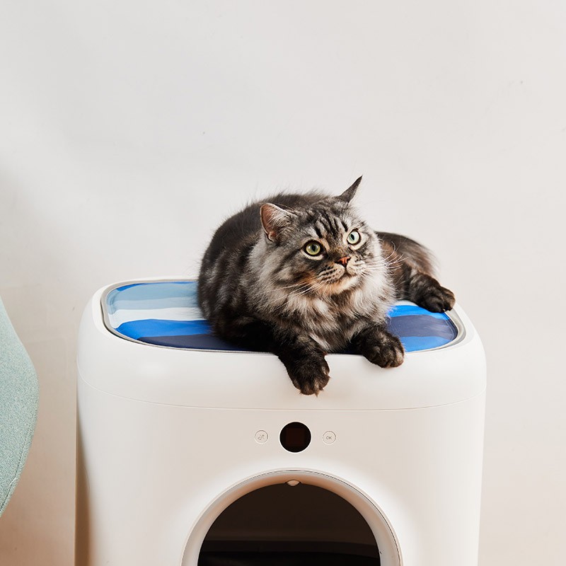 Poze Covoras racoritor pentru pisici PETKIT Cooling Cat Pad, PVC, Multicolor