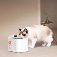 PETMAXPUMP #Geekmall #3