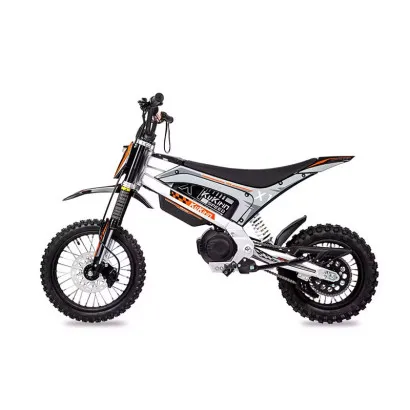 Motocicleta electrica...