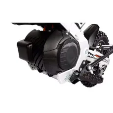 Motocicleta electrica...