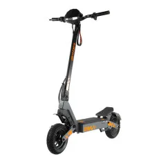 Trotineta electrica...