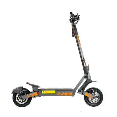Trotineta electrica...