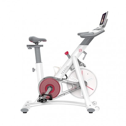 Bicicleta fitness YESOUL S3 Pro, White