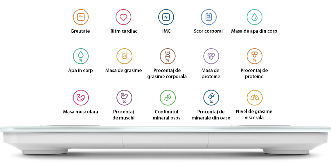 Xiaomi Body Composition Scale S400