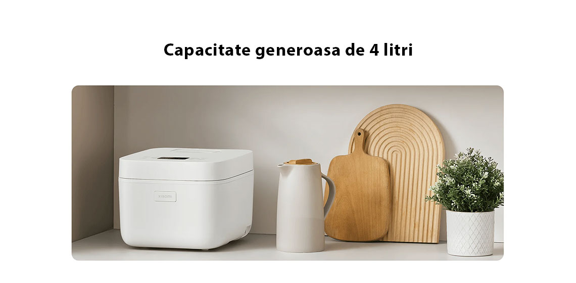 Capacitate generoasa de 4 litri 