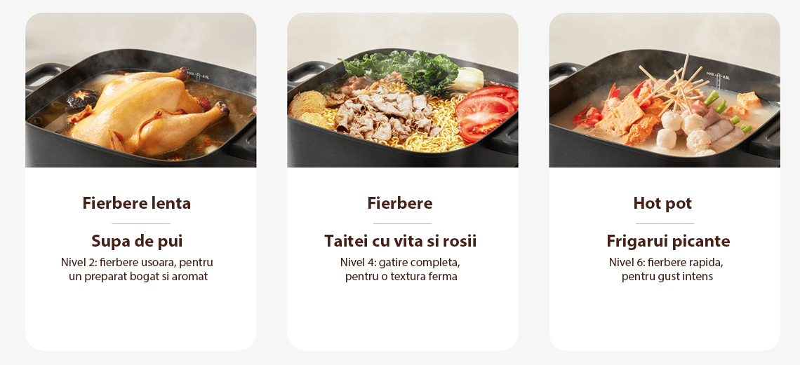 Aparat pentru gatit Xiaomi Multifunctional Hot Pot Cooker 6L
