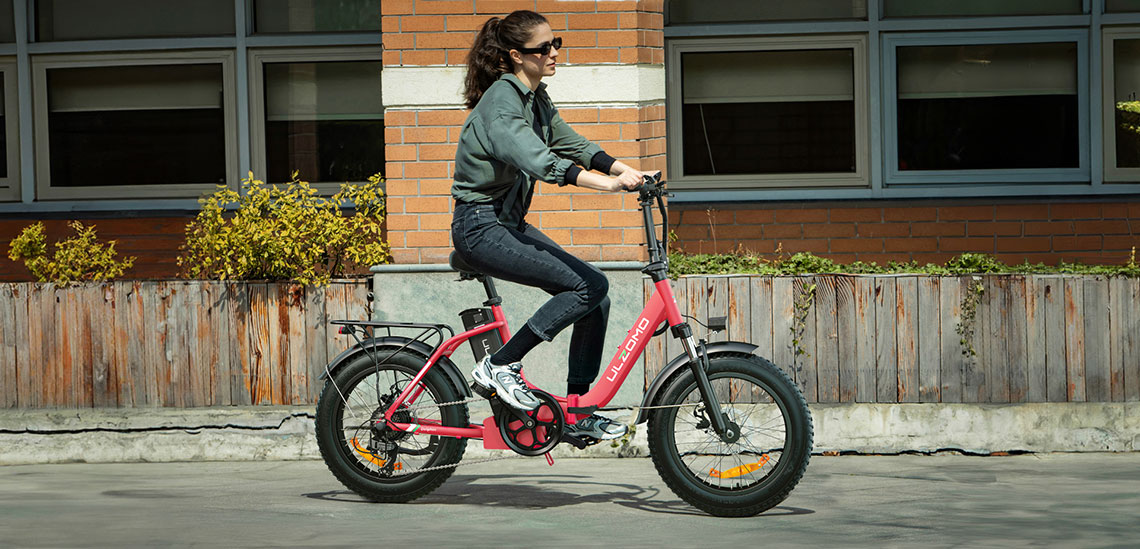 Bicicleta electrica pliabila ULZOMO E-bike Dolphin 20, 350W, 36V 13Ah, autonomie 89km, viteza maxima 25km/h, Black, 20''