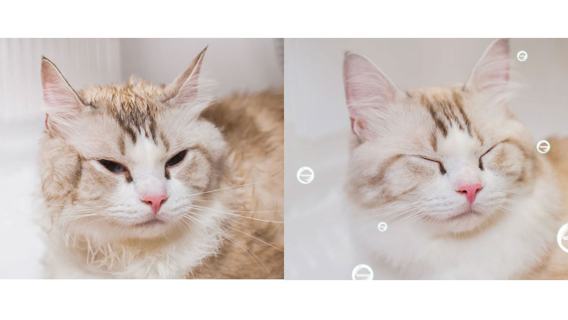 Uscator Smart PETKIT AirSalon Max Pro