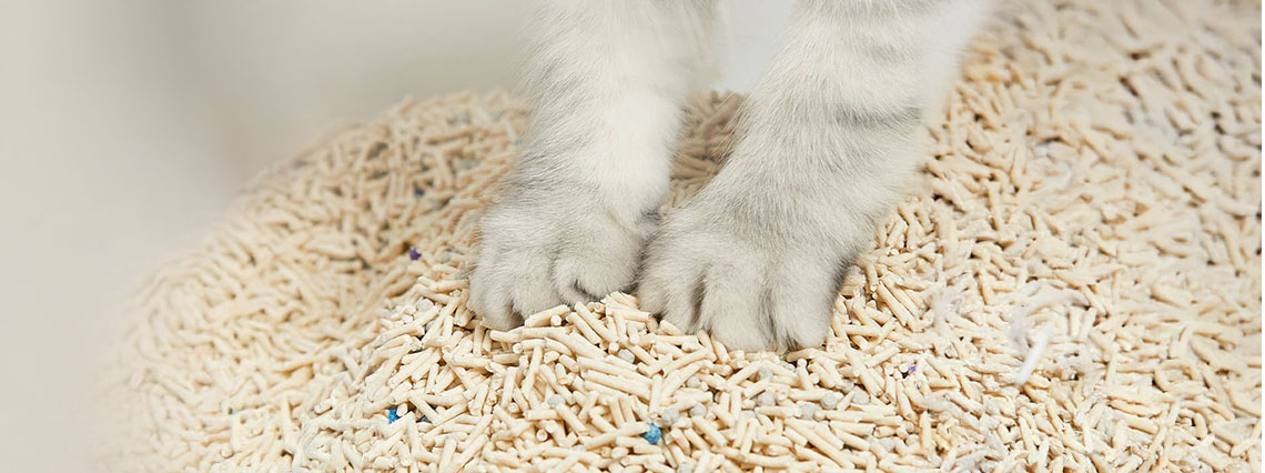 Set 3 cutii nisip litiera mixt, tofu si bentonita PETKIT Mixed Cat Litter