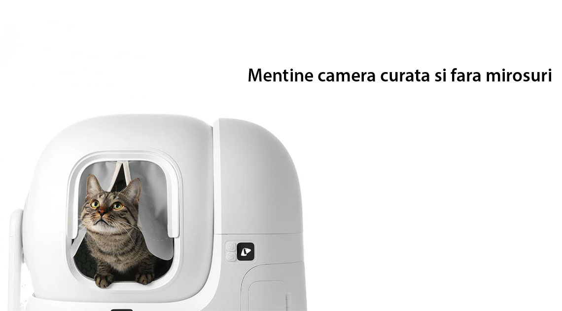Mentine camera curata si fara mirosuri