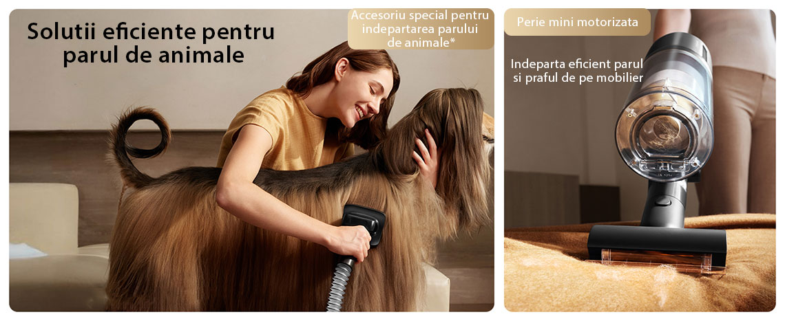 Indeparta eficient parul si praful de pe mobilier