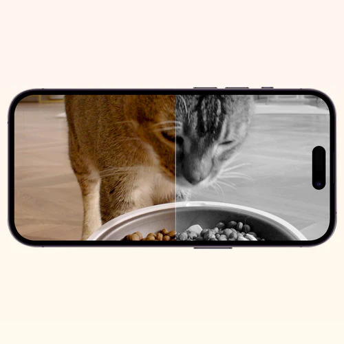 Dozator automat mancare animale de companie cu camera PETKIT YUMSHARE Dual Hopper Smart Feeder with Camera